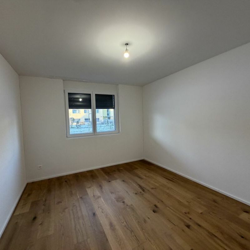 2.5 Zimmer, EG - Photo 1