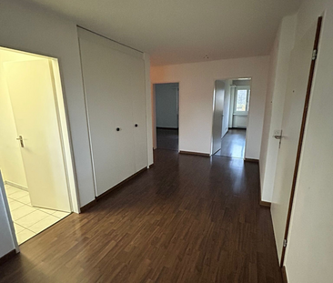 Ihr neues Zuhause in Oberglatt - 2.5 Zimmerwohnung - Photo 4
