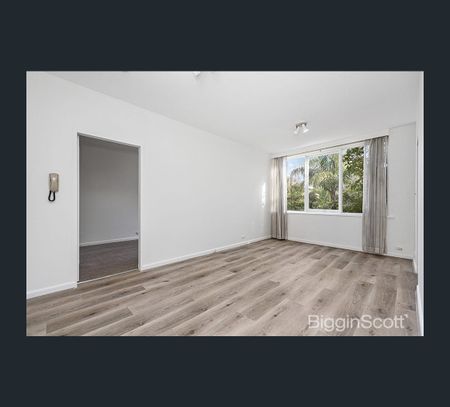 6/11 Rockley Road, South Yarra, Vic 3141 - Photo 3