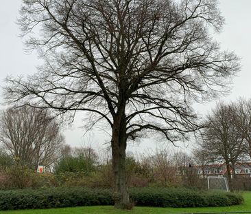 Bovenwoning De Lannoystraat, Vlissingen huren? - Foto 1