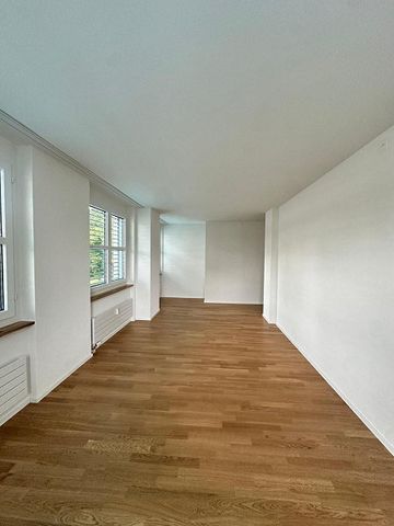 Erstbezug 3.5 Zimmerwohnung in Wetzikon - Foto 3