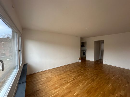 Bangatan 1B – 4rok (lgh 1109) - Photo 1