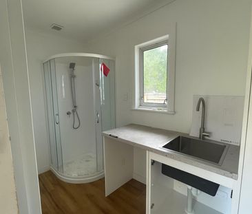 Renovated Tawhero Home - Photo 4