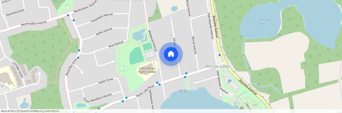 42 Fergus Avenue, Richmond Hill