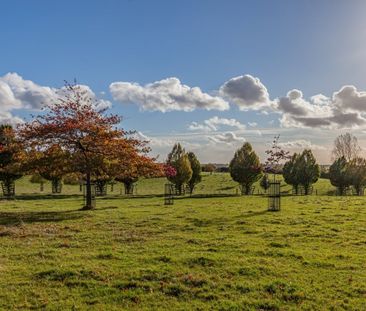 Southfields, Blakesley - Photo 5