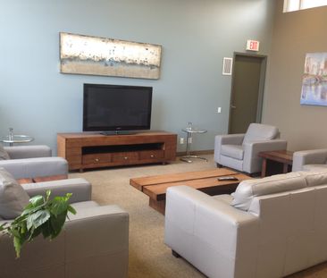 One Bedroom Apartment - Photo 2