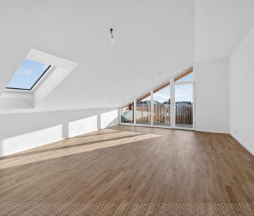 Nice 2.5 room new - Photo 2