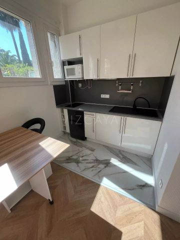 Location Appartement 1 pièce 24m² NICE 06000 - Photo 3
