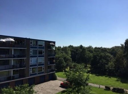 Banckertlaan 0ong, 1215 Hilversum, Nederland - Foto 4