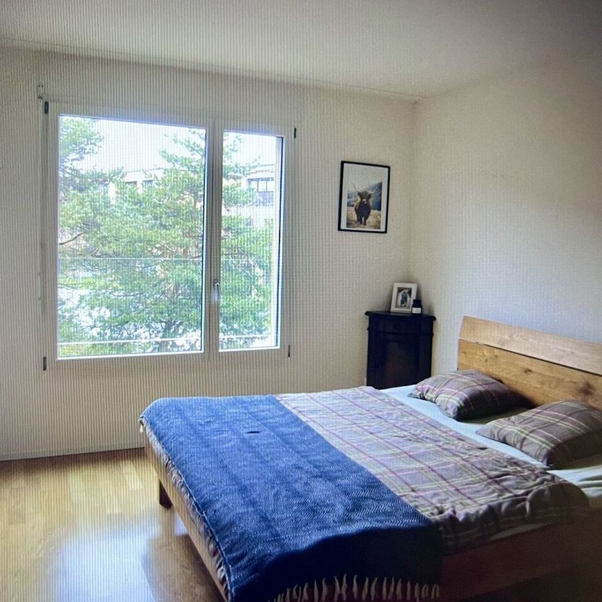 APPARTEMENT DE 31/2 PIÈCES À ALLSCHWIL (BL), MEUBLÉ, TEMPORAIRE - Photo 1