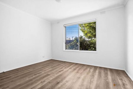 SPACIOUS | FRESHLY PAINTED | GREAT LOCATION - Photo 2