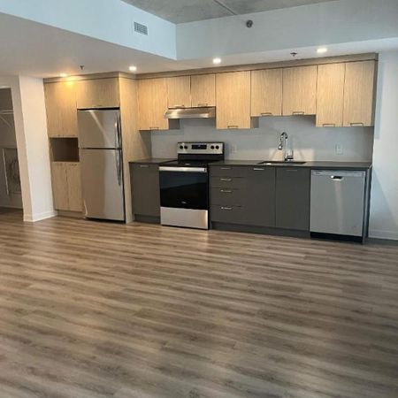 1 CH - 1 SDB - Terrebonne - $1,675 /mo - Photo 3