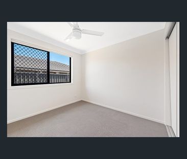 Minutes from the beach and airport in a lovely bush setting - Photo 6