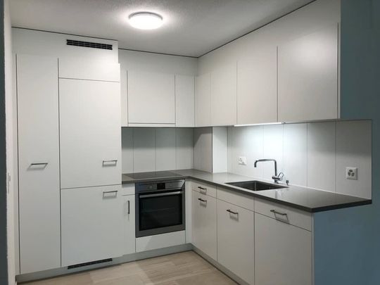 2.5 Zimmer, 53 m², EG - Foto 1