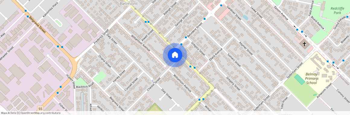 41 Chester street, BELMONT