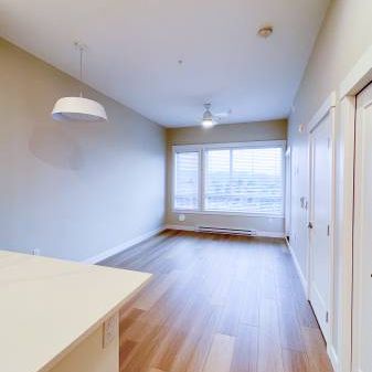 $1,650 / 1br - 549ft2 - New, Cat-Friendly 1 Bedroom Apartment - Photo 1