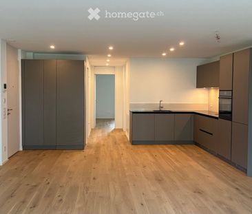 Residenza Verdeblu – Luminoso 2.5 locali con due terrazze a Locarno - Foto 3