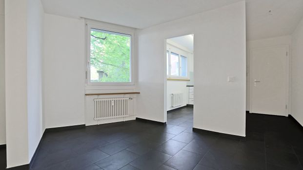 Geräumig; Modern; Zwischen dem Wettstein- und Messeplatz - Photo 1