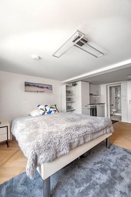 1.5 Zimmer, 40 m² - Photo 1