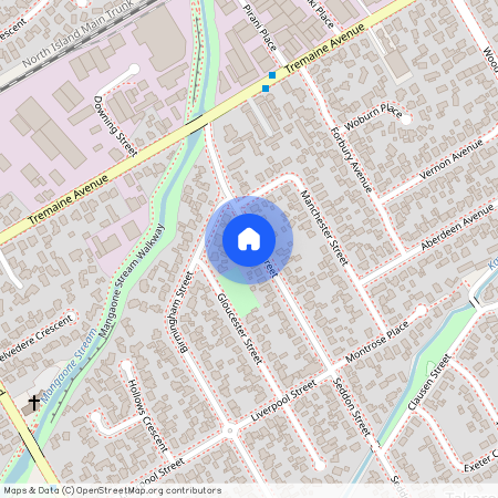 16 Seddon Street, Takaro, Palmerston North City