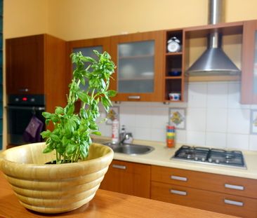 Komfortowy jednoosobowy pokój do wynajęcia - Zdjęcie 6