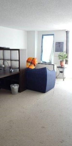 Fully Furnished 3.5 Apartment Downtown - Photo 1