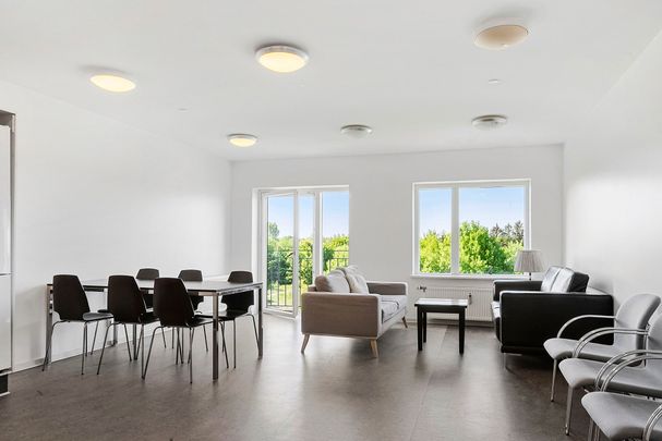 Attraktive studieboliger i Kolding - Photo 1