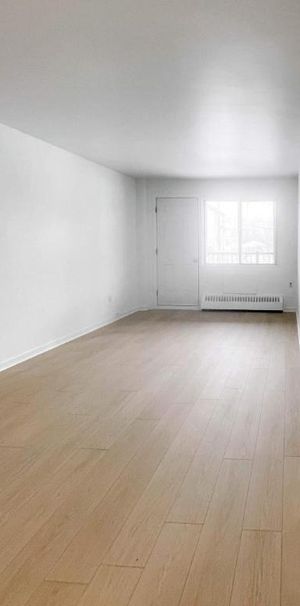 Studio - Montréal - $925 /mo - Photo 1