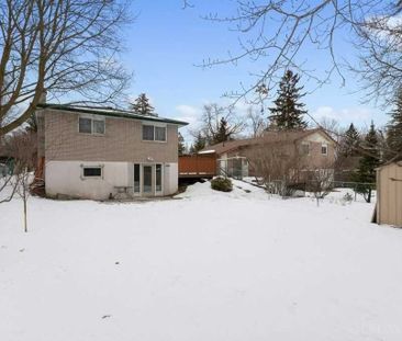 For Lease - 350 Amelia Street, Newmarket, Ontario - Photo 3