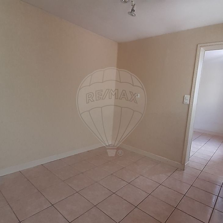 Appartement 1 chambre(s) à louer - Fontainebleau - Photo 1