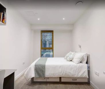 One-Bed Studio - Photo 3