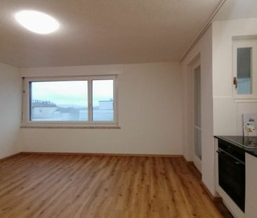 Renovated apartment - Photo 1