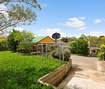 59 Winfield Road, Balwyn North - Photo 6