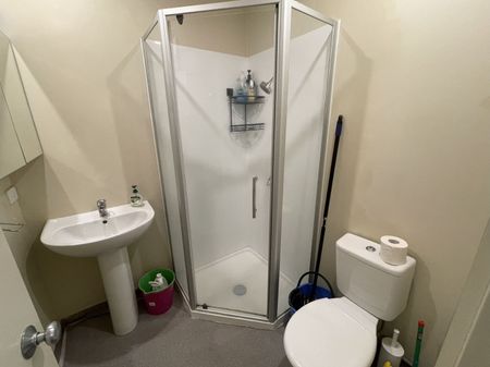 A one bedroom available in CBD - Photo 5