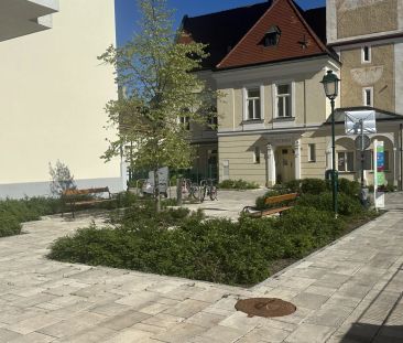 Sonnige, barrierefreie Wohnung mit Loggia, inkl. Küche- Nähe Badner... - Photo 4