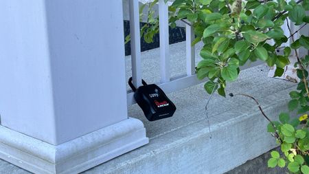 For Lease - 30 Ashcreek Drive Unit# Bsmt, Brampton, Ontario - Photo 3