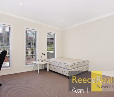 47 Lorna Street, Waratah West, NSW 2298 - Photo 3