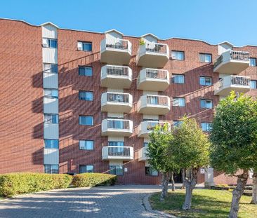 3 1/2 FRAIS PEINT SAINT-LAMBERT (IMMEUBLE BÉTON) - Photo 2