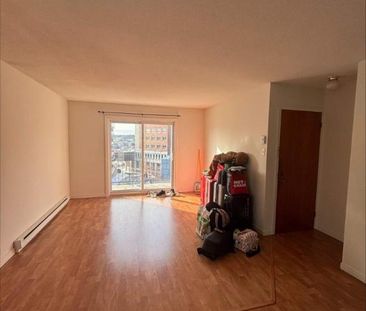 1 CH - 1 SDB - Sherbrooke - $980 /mo - Photo 4