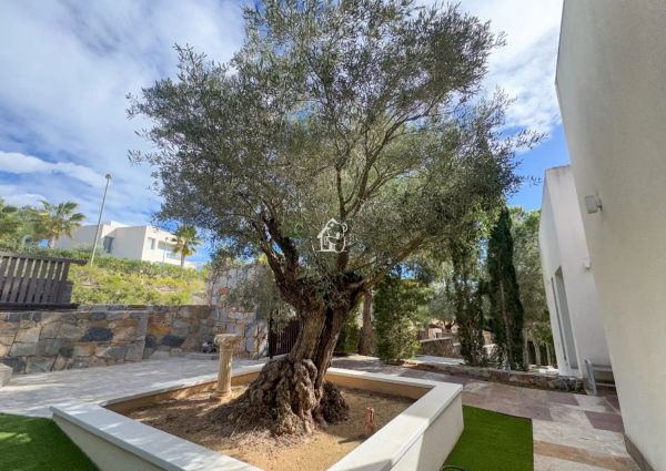 Casa o chalet de alquiler en San Miguel de Salinas