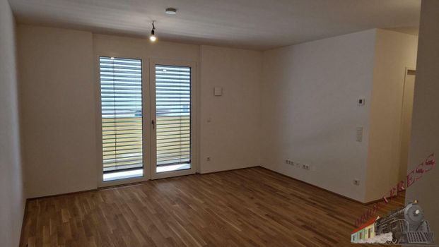 Neubauwohnung mit Loggia im 22 Bezirk - Photo 1