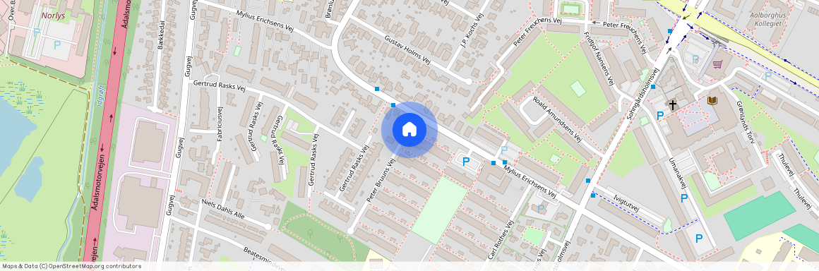 Peter Bruuns Vej 65 1 1, 9210 Aalborg SØ