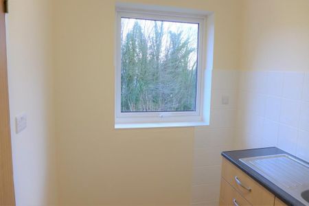 1 bedroom retirement property to rent - Photo 5