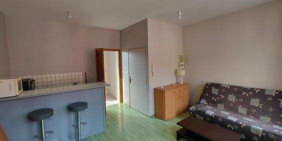 Location Appartement 1 pièce 24m² - Photo 3