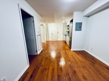 For Lease - 111 Elizabeth Street Unit# 208, Toronto, Ontario - Photo 2
