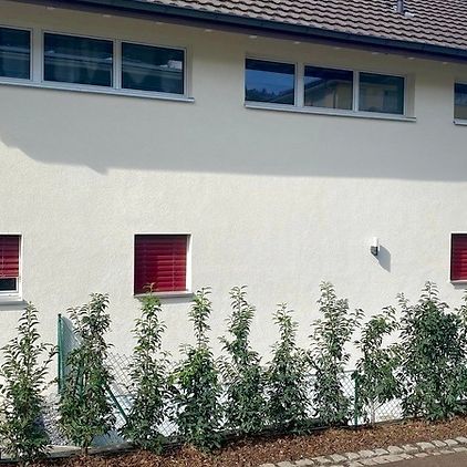 Studio in Remetschwil (AG), möbliert, auf Zeit - Foto 1
