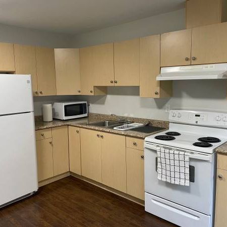 1 & 2 Bedroom Basement Suites for Rent in Envercreek, Surrey - $1500 - Photo 1