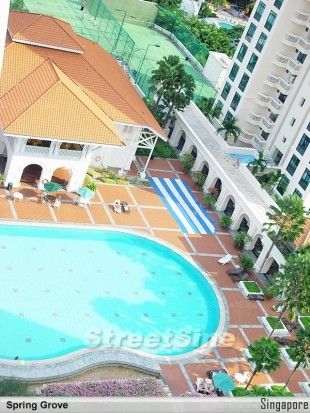 Spring Grove (D10), Condominium - For Rent - Photo 3