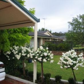 Glenmore Park - Photo 2