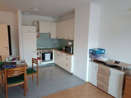 2 Zimmer - Wohnung in Rappottenstein - Photo 5